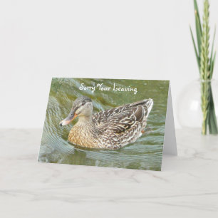 Désolé de votre départ, carte de voeux canard