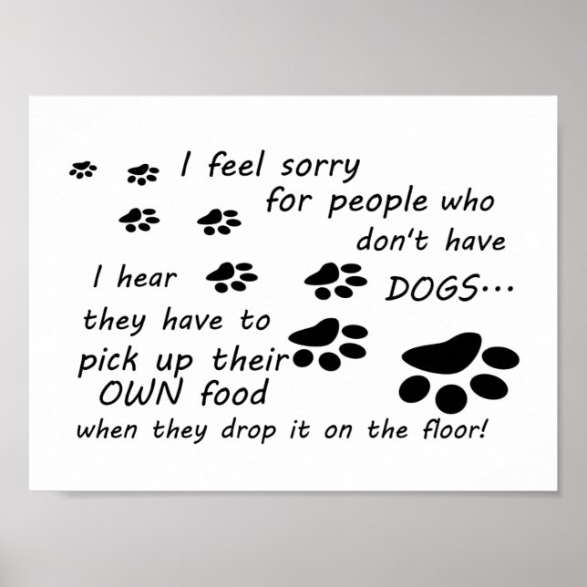 "Désolé pour les gens sans chien - Poster (Devant)
