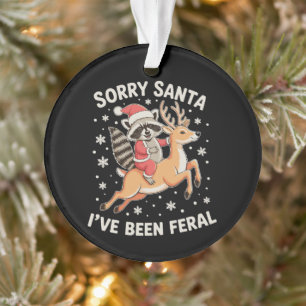 Désolé Santa j'ai été Raton laveur férocé Noël Ren
