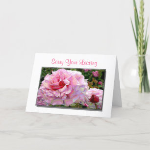 Désolé Votre Lever Et Bonne Chance Cartes De Voeux