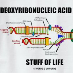 Desoxyribonukleinsäure (DNA) T-Shirt