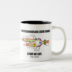 Desoxyribonukleinsäure (DNA) Zweifarbige Tasse