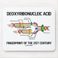 Desoxyribonukleinsäure-Fingerabdruck des 21.