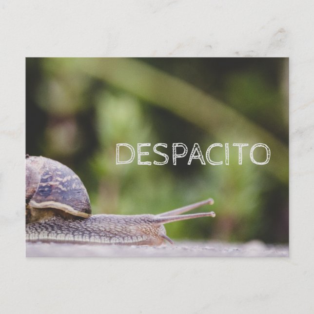 Despacito Postkarte (Vorderseite)