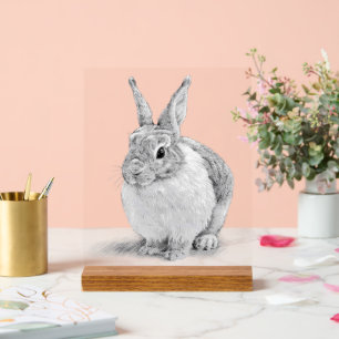 Dessin au crayon de lapin mignon