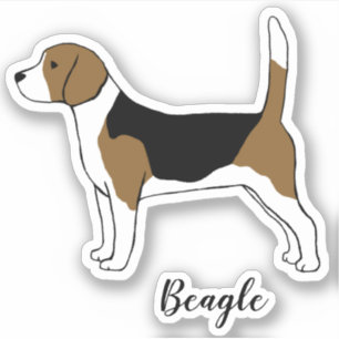 Dessin beagle   Sticker en vinyle pour chien de co