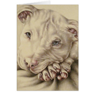 Dessin blanc de pitbull avec des yeux bleus sur la