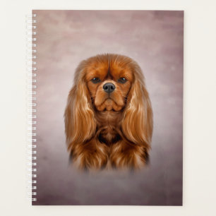Dessin Chien Cavalier King Charles Spaniel