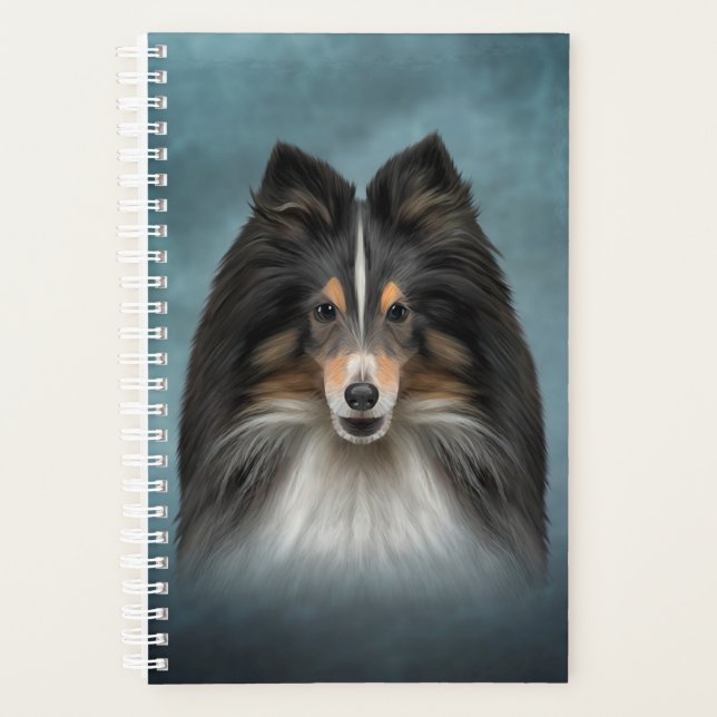 Dessin Chien Shetland Sheepdog, Shelter (Devant)