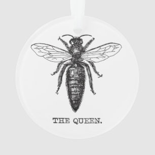 Dessin classique de l'illustration de Queen Bee