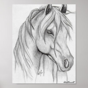 dessin de cheval Poster