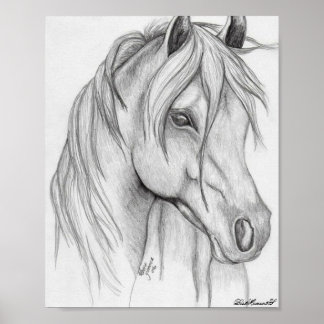 dessin de cheval Poster
