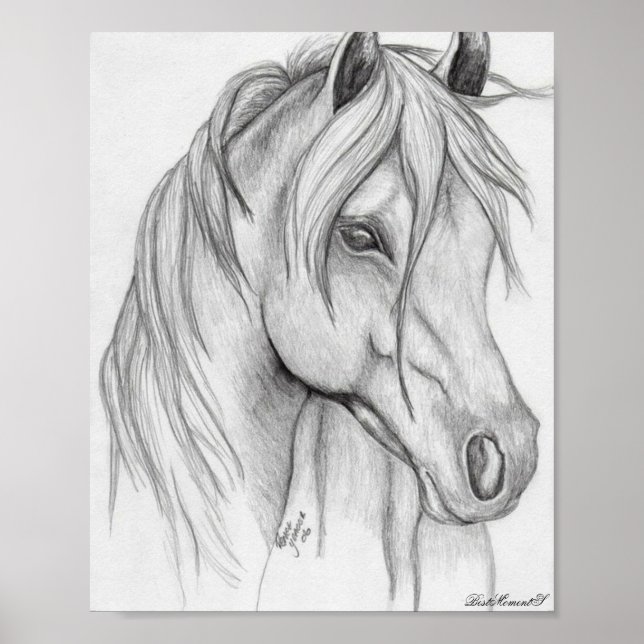 dessin de cheval Poster (Devant)