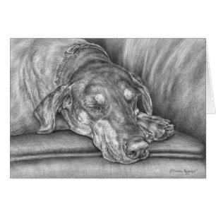 Dessin de chien Doberman Dormeping par Kelli Swan