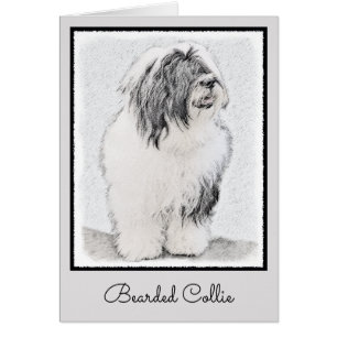 Dessin de collie à oreilles - Joli art original de
