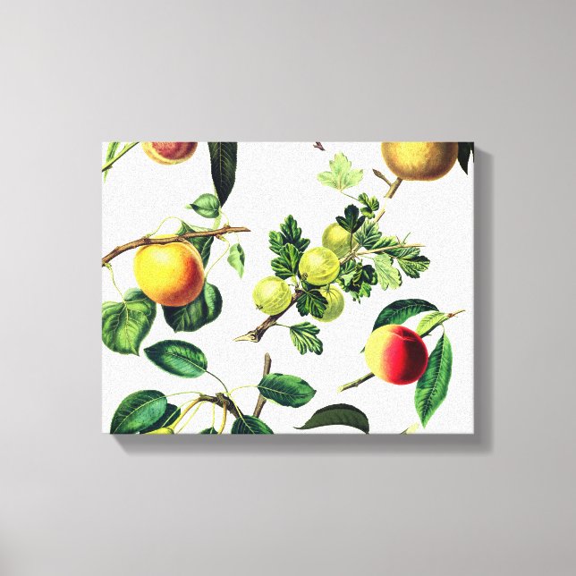 dessin de fruit en toile enveloppée (Recto)