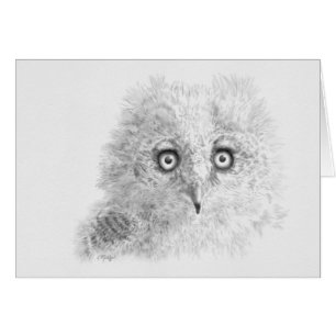 Dessin de la grande corne