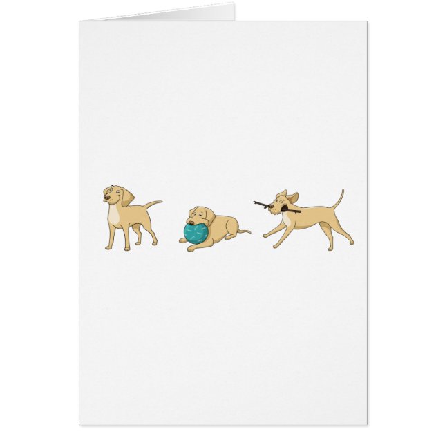 dessin de laboratoire jaune 2 (Devant)