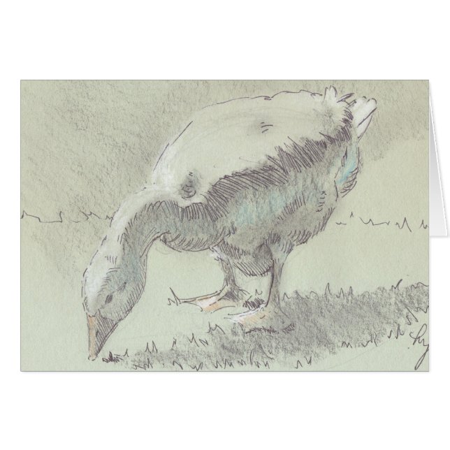 Dessin d'oie blanche (Devant horizontal)