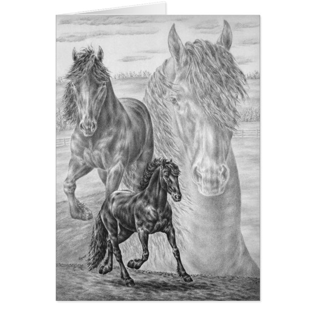 Dessin du cheval friésien par Kelli Swan (Devant)