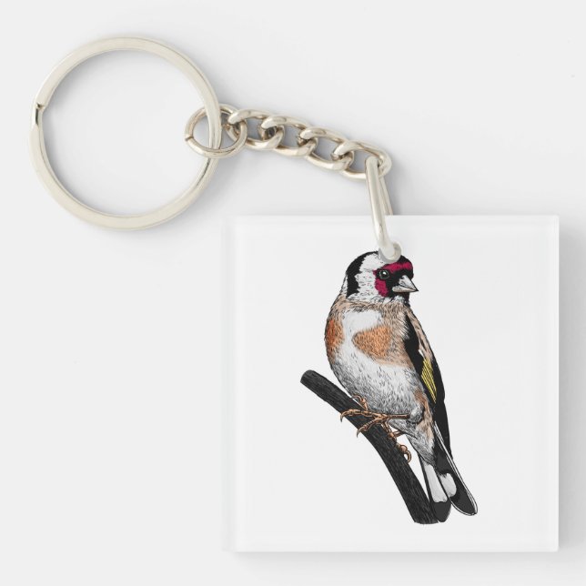 Dessin Goldfinch (Devant)