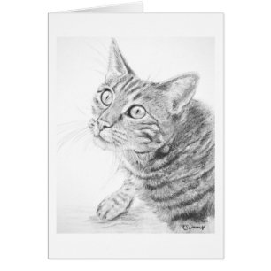 Dessin gris de chat tigré