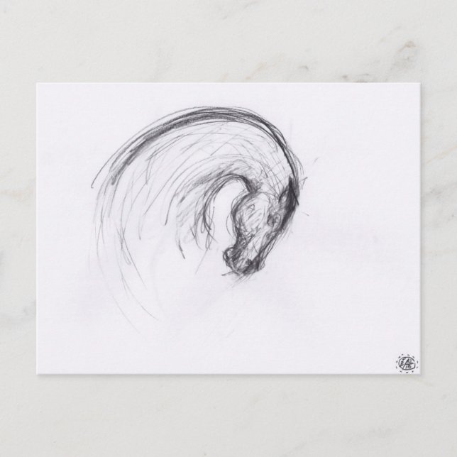 Dessin original 2 Cheval Année Zodiac Carte postal (Devant)