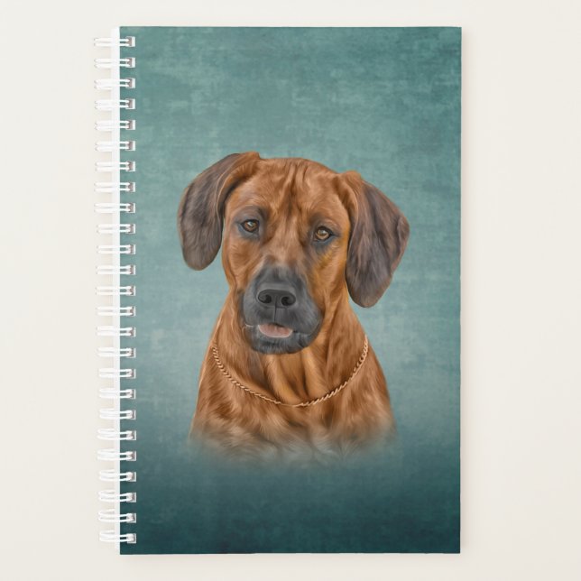 Dessin Rhodesian Ridgeback (Devant)