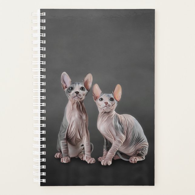 Dessin Sphynx chaton (Devant)