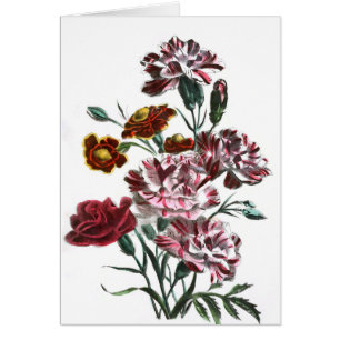 Dessin vintage : Fleurs roses flamandes