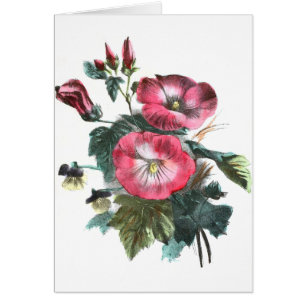 Dessin vintage : Mauve rouge