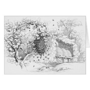 Dessin vintage Skep Bee Hives