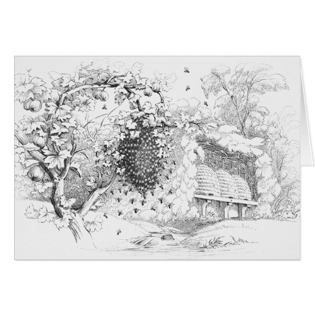 Dessin vintage Skep Bee Hives (Devant horizontal)