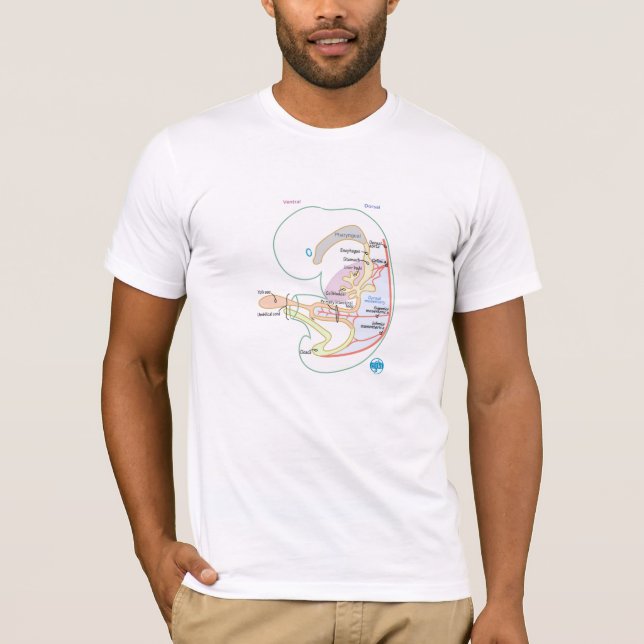Dessinez-le pour le savoir T-shirt d'embryologie (Devant)