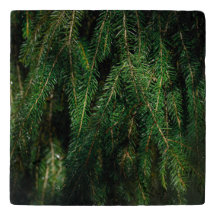 Sapin de Noël vert foncé saisonnier