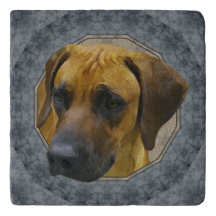 Trépied en pierre classique de Rhodesian Ridgeback