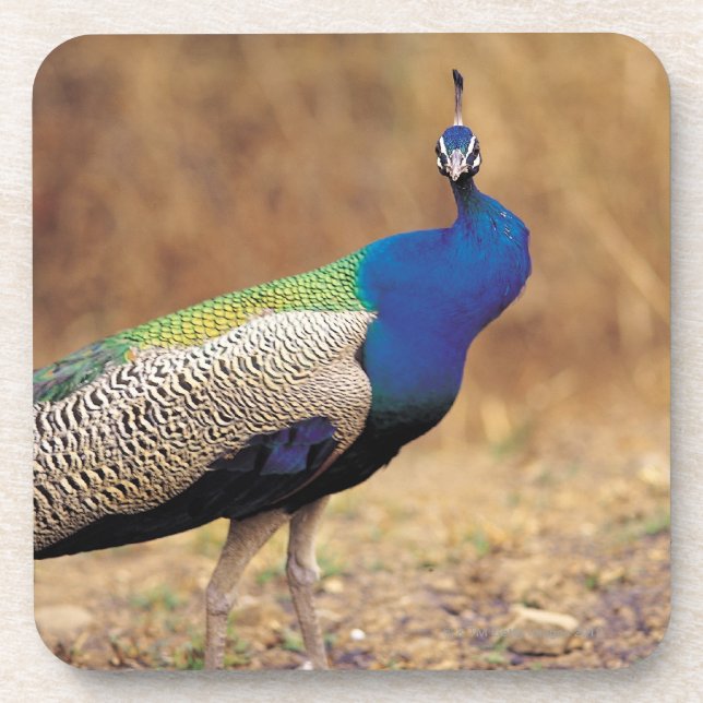 DESSOUS-DE-VERRE 0 3 (Devant)