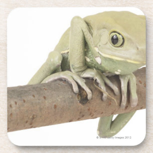 DESSOUS-DE-VERRE 23568119