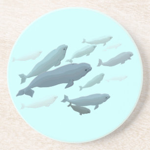 Dessous de verre à boire de béluga baleines Dessou