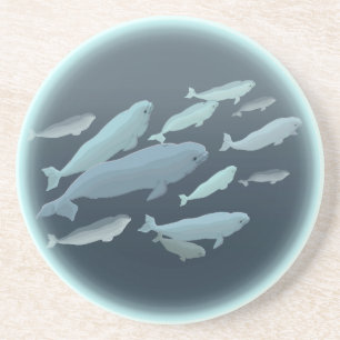 Dessous de verre à boire de béluga baleines Dessou