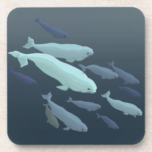 Dessous de verre à boire de béluga baleines Dessou