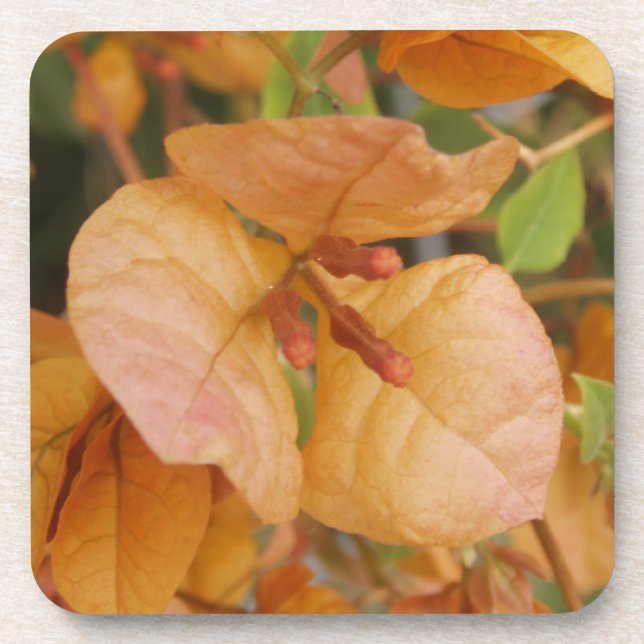 Dessous de verre à fleurs de Bougainvillea (Devant)