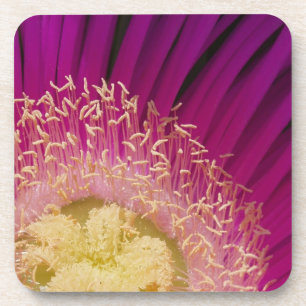 Dessous de verre à fleurs roses