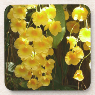 Dessous-de-verre Accrocher les orchidées jaunes Fleurs tropicales
