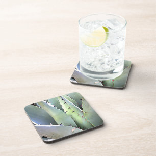 Dessous-de-verre Agave Plante Succulent Cactus Vert