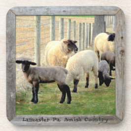 Dessous-de-verre Agneaux et moutons Amish ! 6