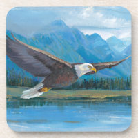 Aigle à tête blanche