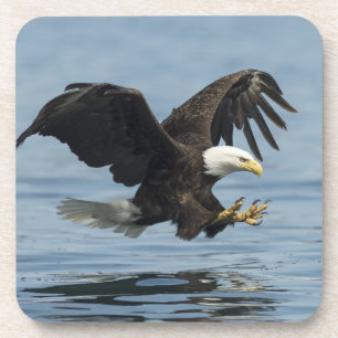 Dessous-de-verre Aigle en approche