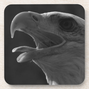 Dessous-de-verre Aigle noir et blanc