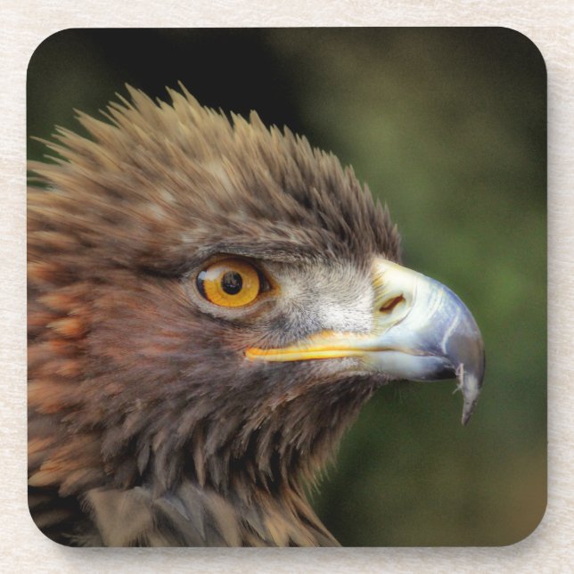 Dessous-de-verre aigle royal (Devant)